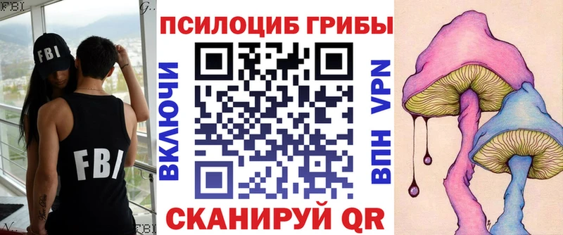 Псилоцибиновые грибы Magic Shrooms  МЕГА онион  Зуевка 